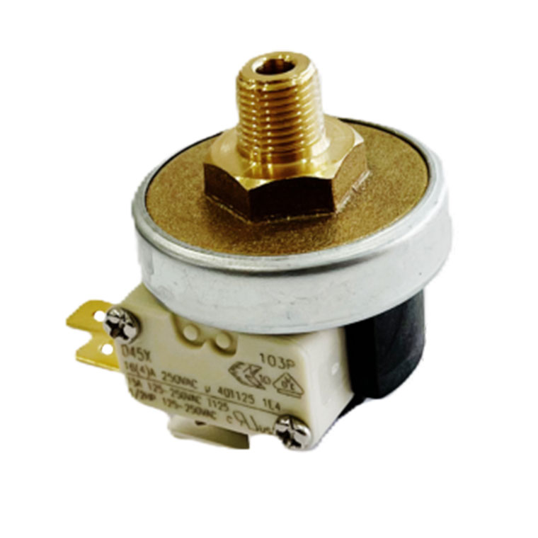 پرشر اتو بخار سیلتر